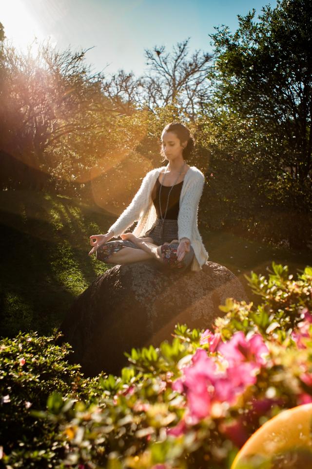 Mindfulness : programme automne 2022